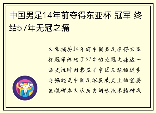 中国男足14年前夺得东亚杯 冠军 终结57年无冠之痛